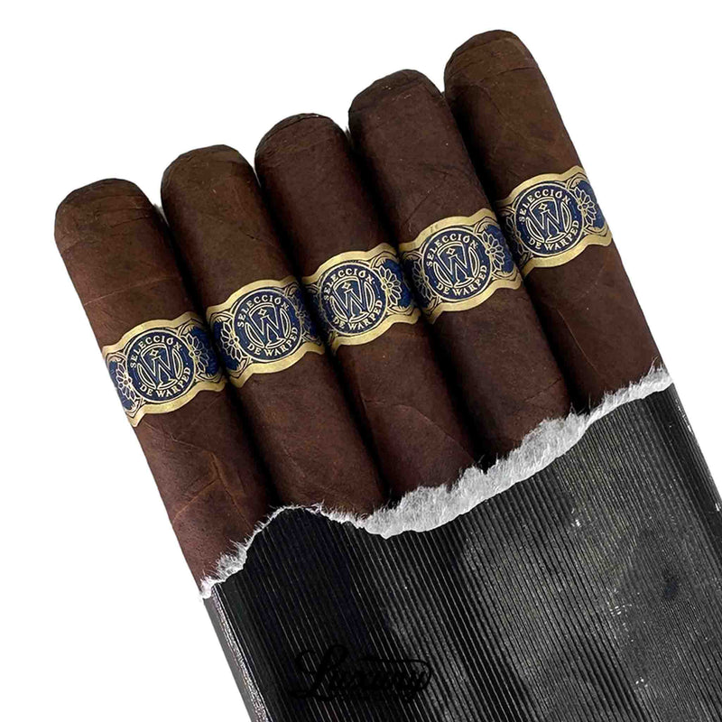 Close-up of Warped Miami Maduro 475 Petit Churchill cigars highlighting detailed gold and navy bands and rich Maduro wrapper texture.