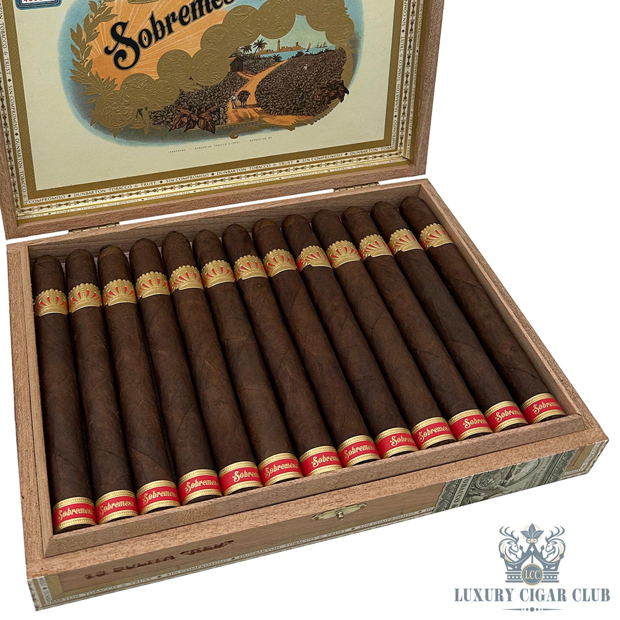 Buy Dunbarton Tobacco & Trust Sombremesa Solita Red Cigars Online – Luxury  Cigar Club