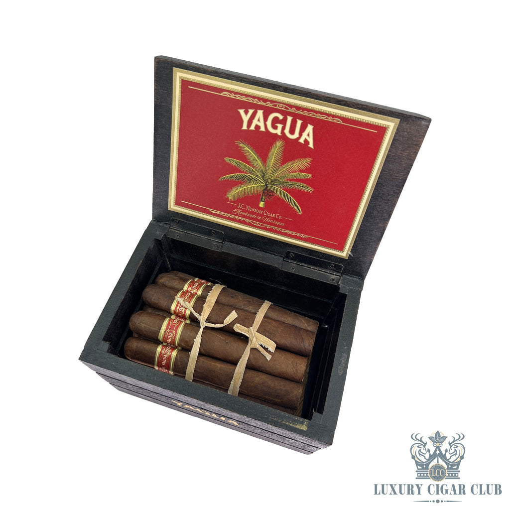 JC Newman Yagua - Luxury Cigar Club
