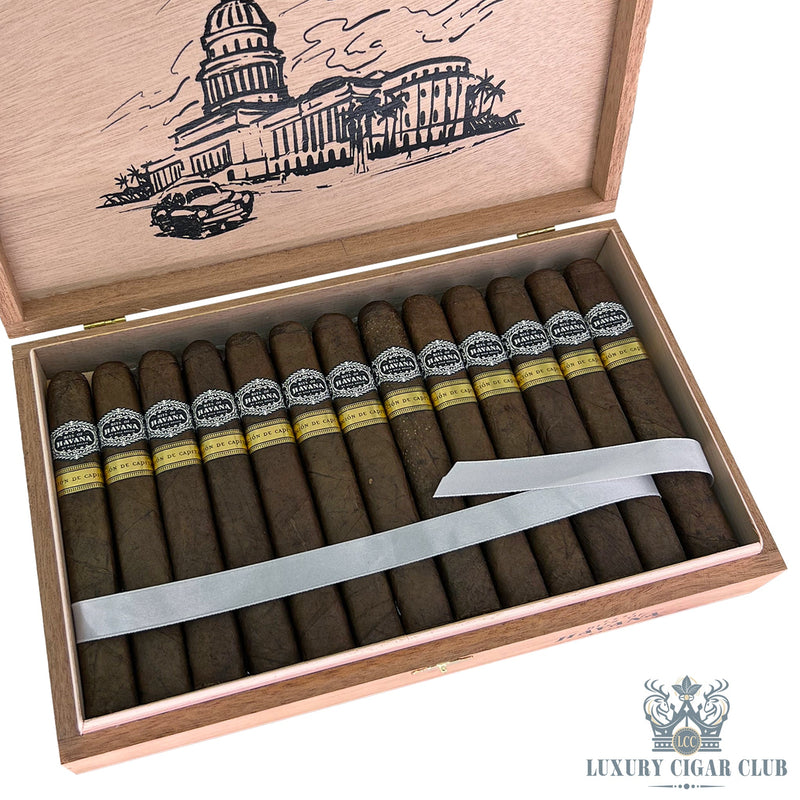 Warped Bits of Havana Seleccion de Capital 2024 Limited Edition - Luxury Cigar Club