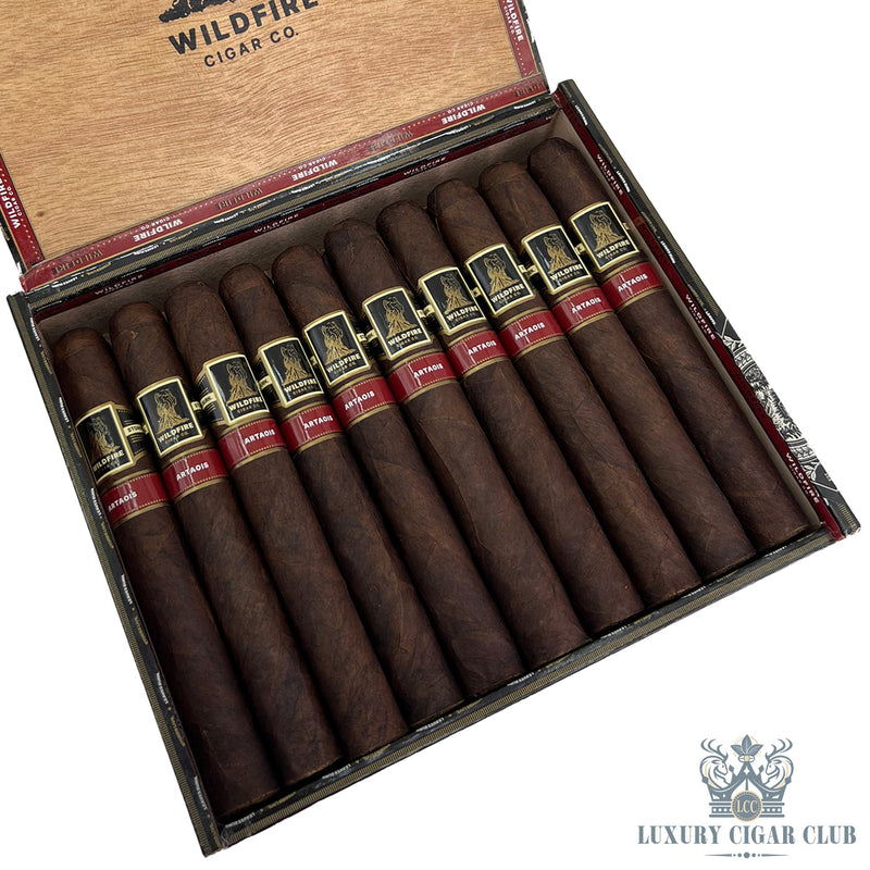 Wildfire Cigar Co. Artaois - Luxury Cigar Club