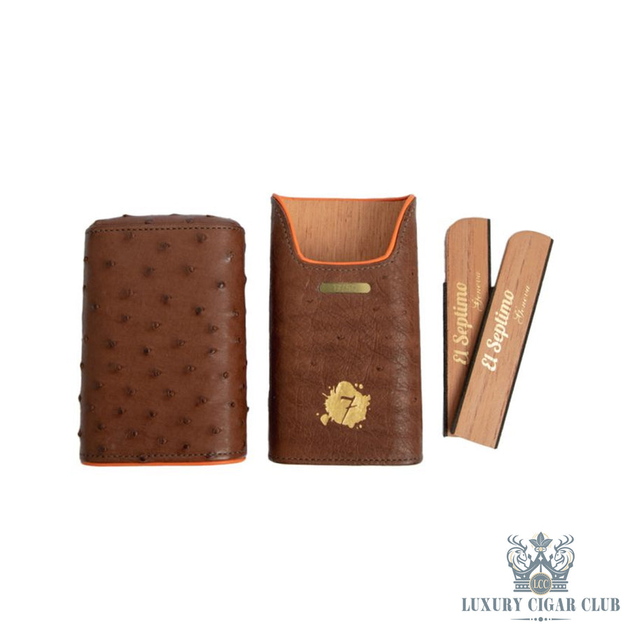 luxury cigar case