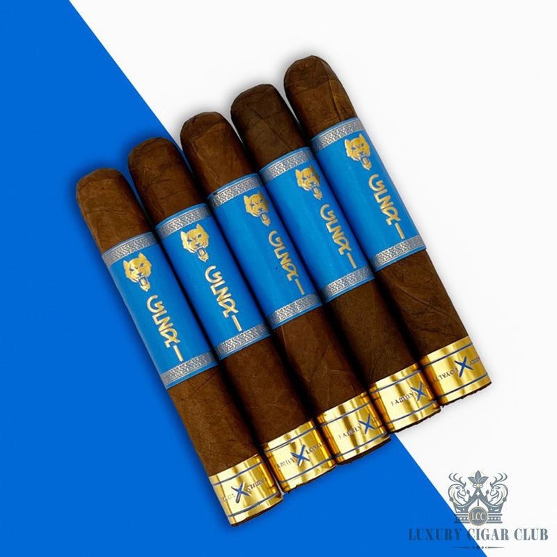 Buy Family X Loyalty Geri Habano Robusto Cigars Online