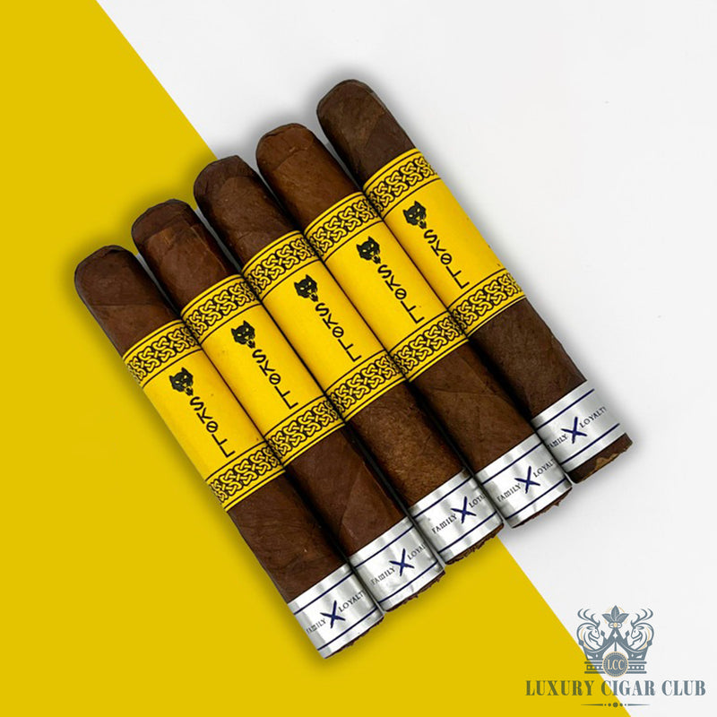 Buy Family X Loyalty Skoll Cubra Robusto  Cigars Online