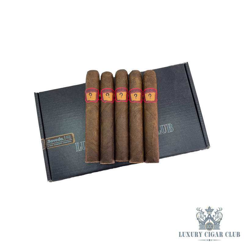 Buy Lost & Found by Caldwell Halloween Bundle of 10 Limited Edition Cigars Online