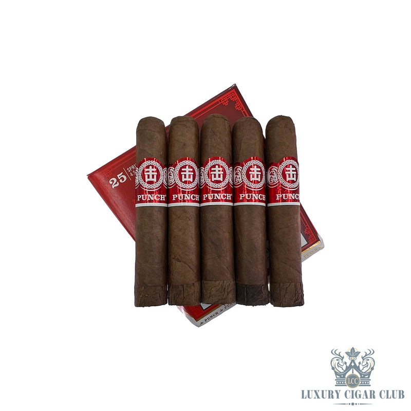 Buy Punch Spring Roll Limited Edition Cigars Online