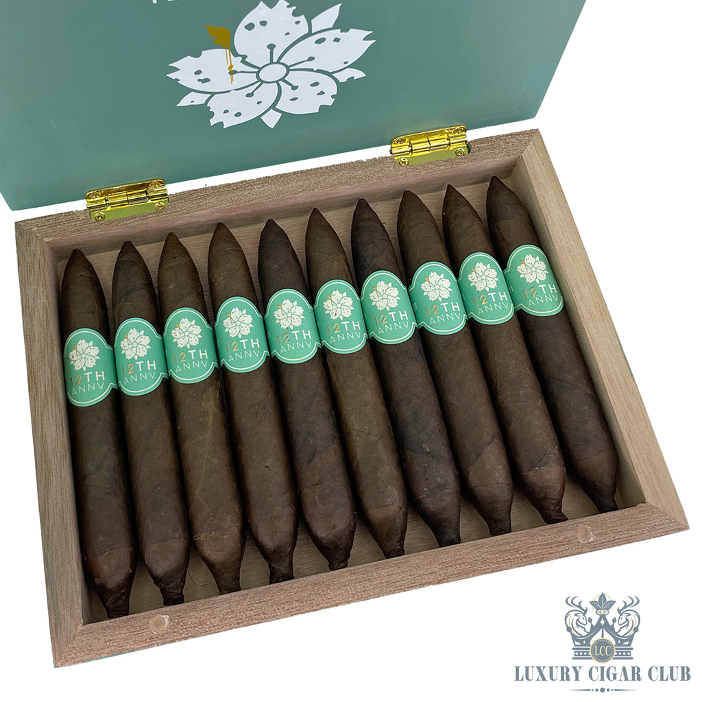 Buy Room 101 12th Anniversary Perfecto Limited Edition Cigars Online