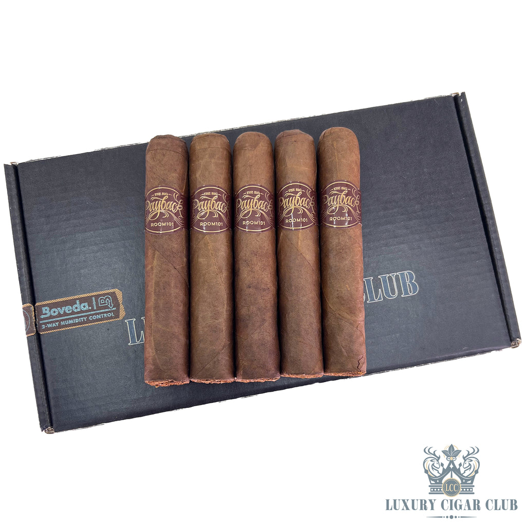 Buy Room 101 Big Payback Sumatra Cigars Online