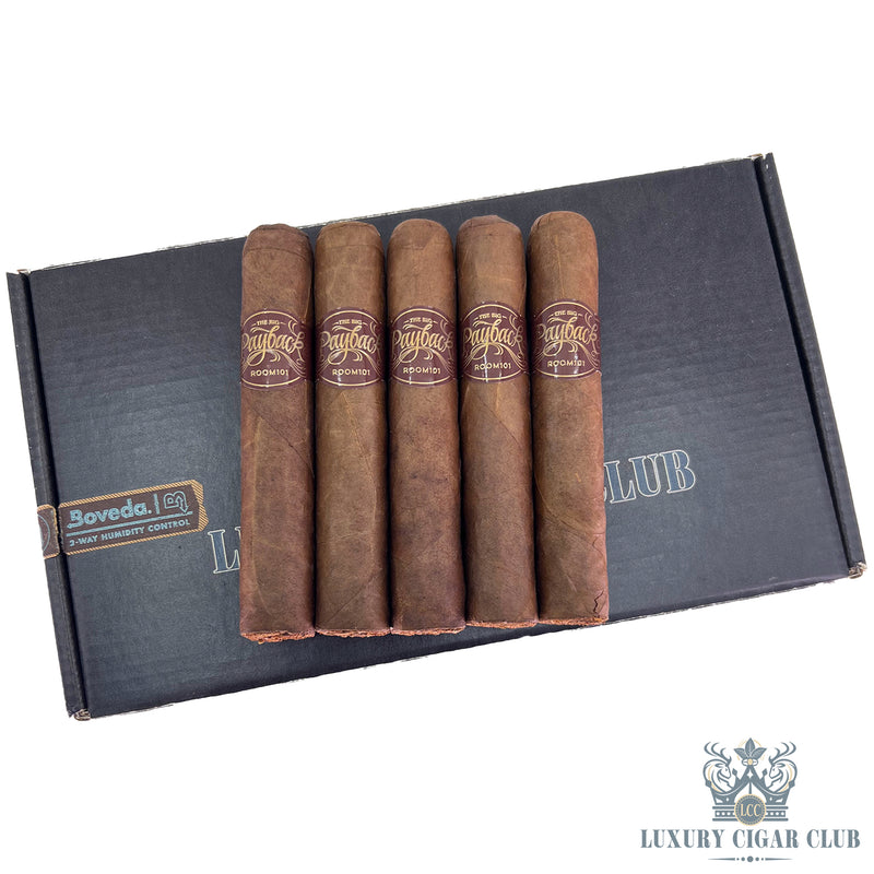 Buy Room 101 Big Payback Sumatra Cigars Online