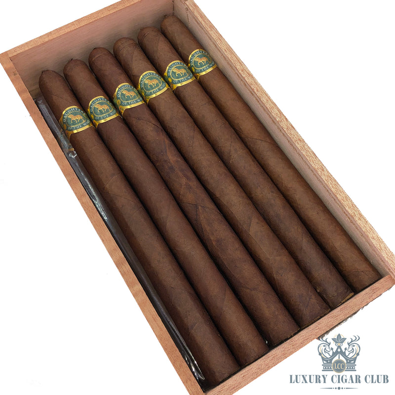 Buy Casdagli Daughters of the Wind Cremello Cigars Online