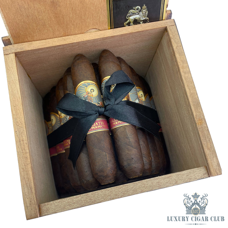 Buy Foundation The Tabernacle Havana Seed David & Goliath Limited Edition Cigars Online