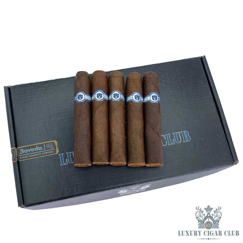 Buy Warped El Oso Cub 5 Pack Limited Edition Cigars Online