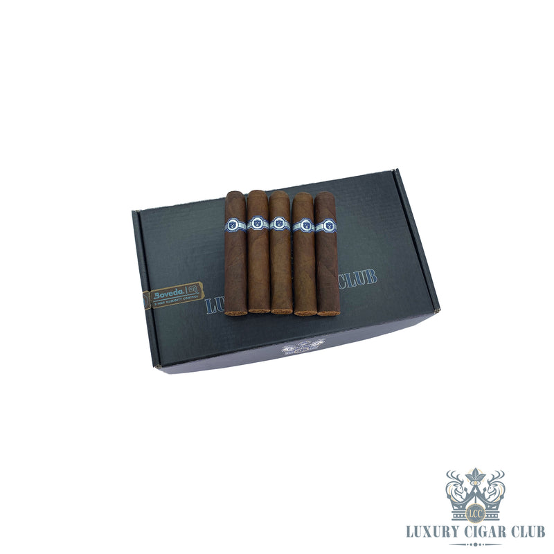 Buy Warped El Oso Cub Box Limited Edition Cigars Online