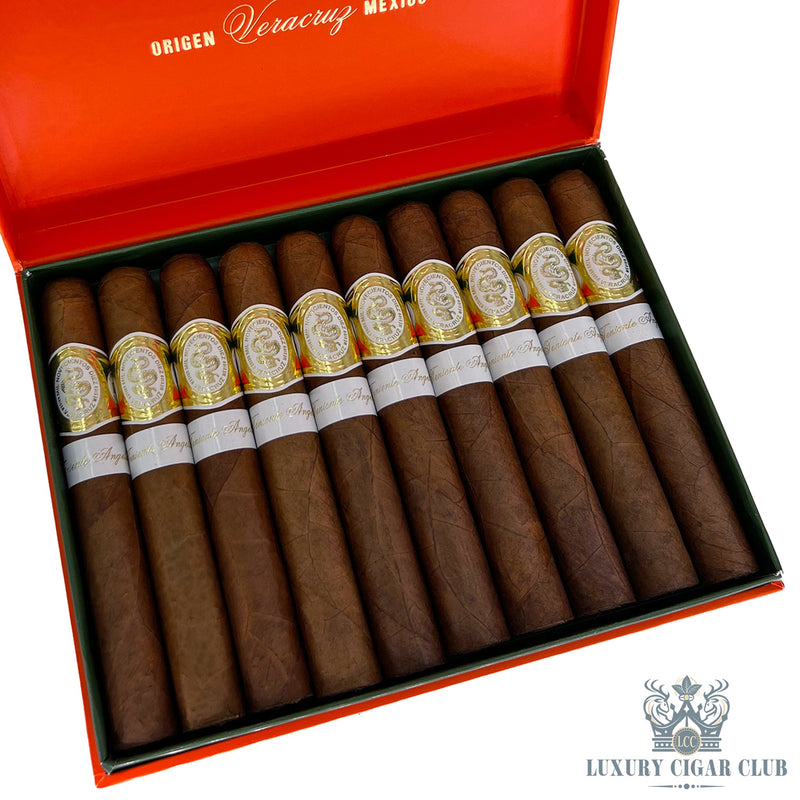 Casa 1910 Soldadera Edition - Luxury Cigar Club