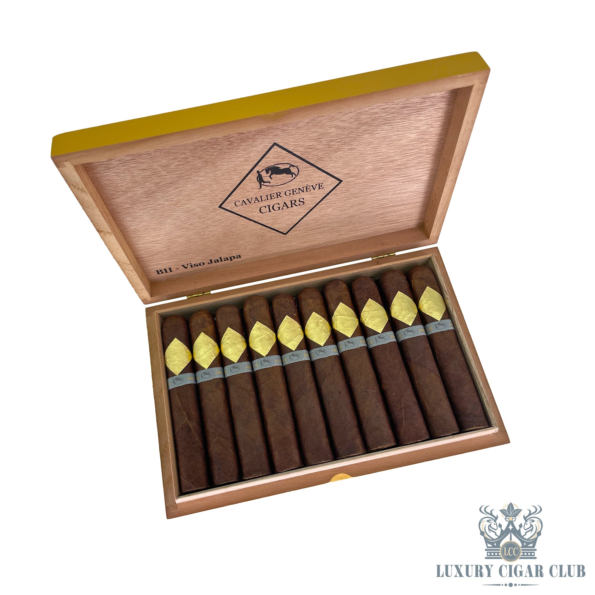 cavalier-geneve-b11-viso-