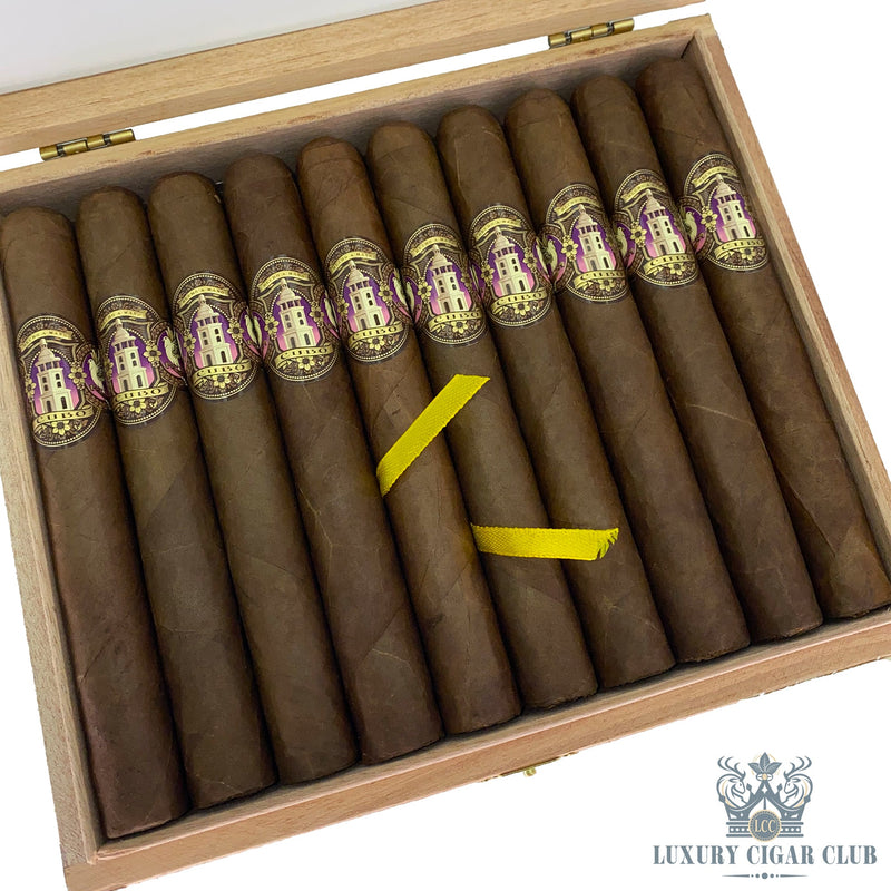 Dapper Cubo Sumatra - Luxury Cigar Club