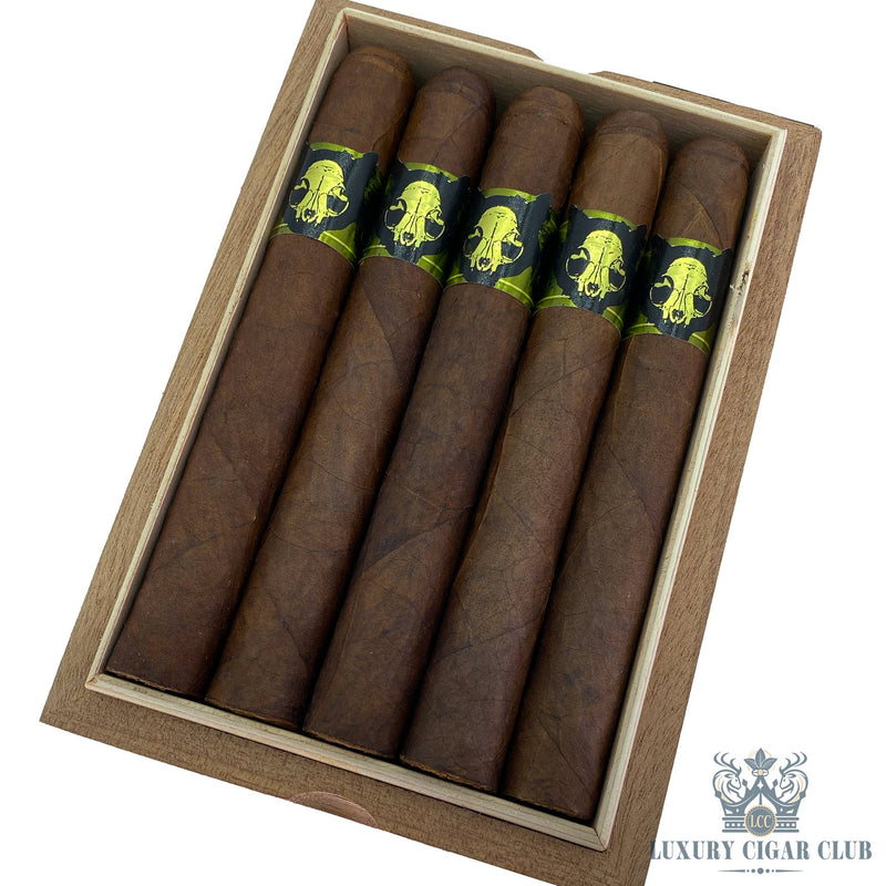 Emilio Grimalkin - Luxury Cigar Club