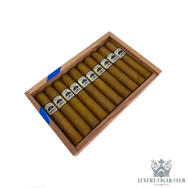 Foundation Charter Oak Connecticut - Luxury Cigar Club