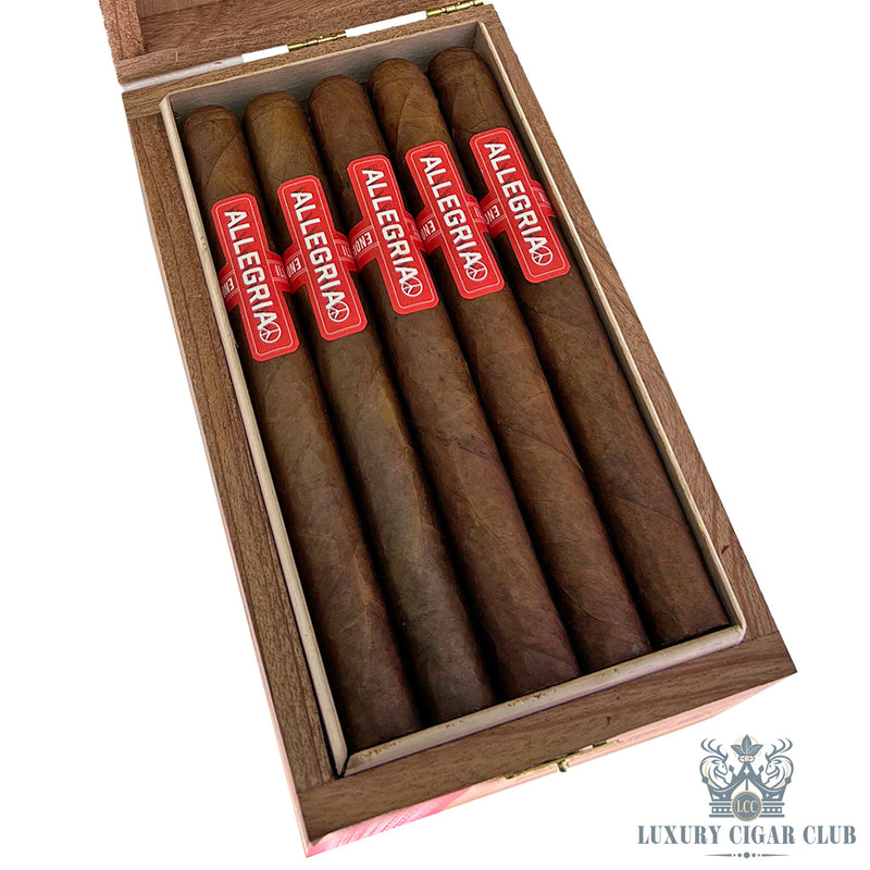 Illusione Allegria - Luxury Cigar Club
