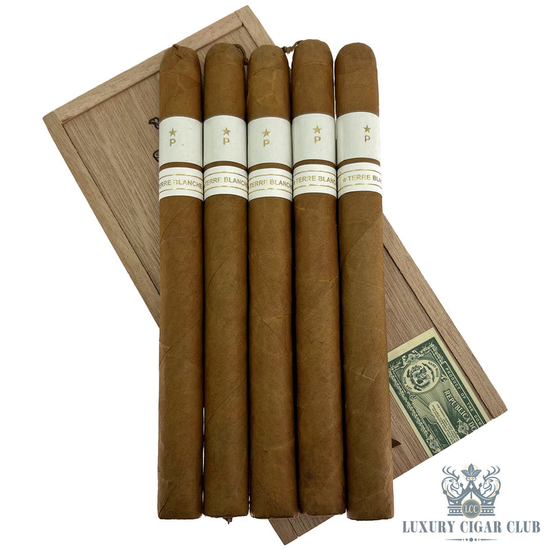 Patoro Terre Blanche - Luxury Cigar Club