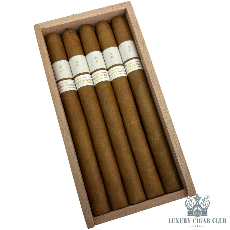 Patoro Terre Blanche - Luxury Cigar Club
