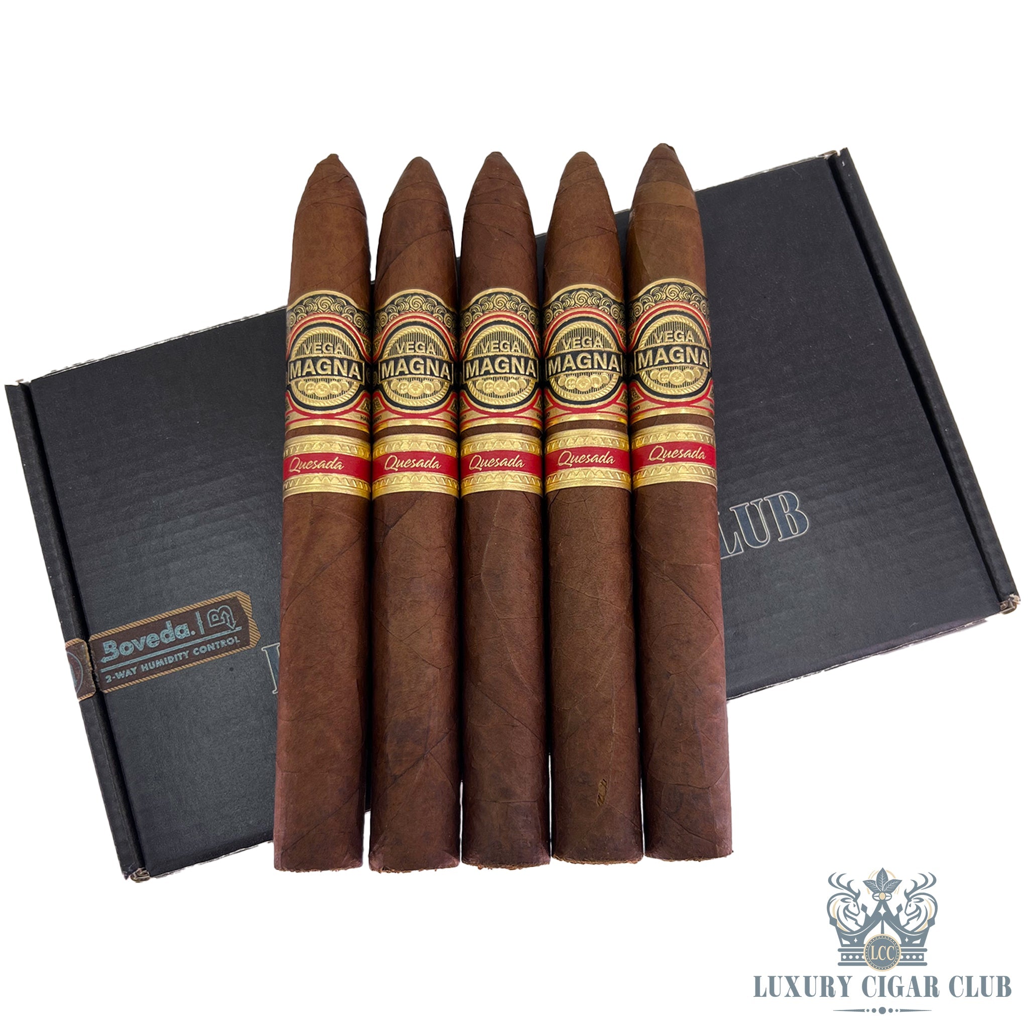 【中古】 Cubana 1920 ViejaGuardia 中古】 Cubana 1920 ViejaGuardia