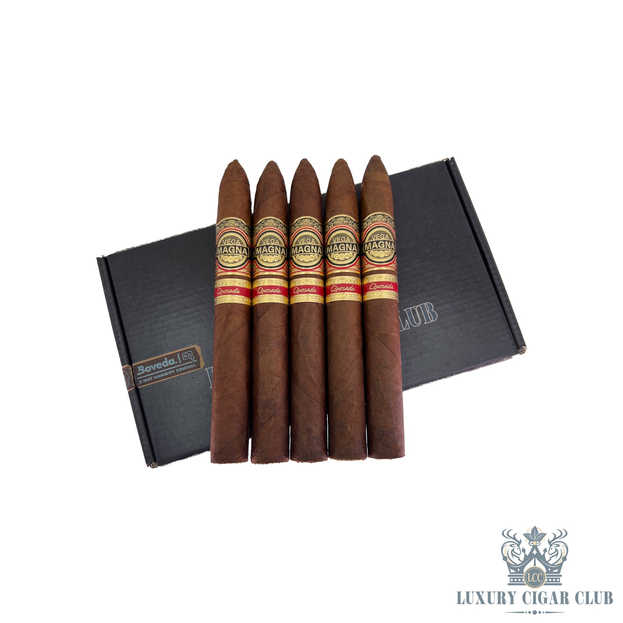 Buy Quesada Vega Magna Limited Production Cigars Online