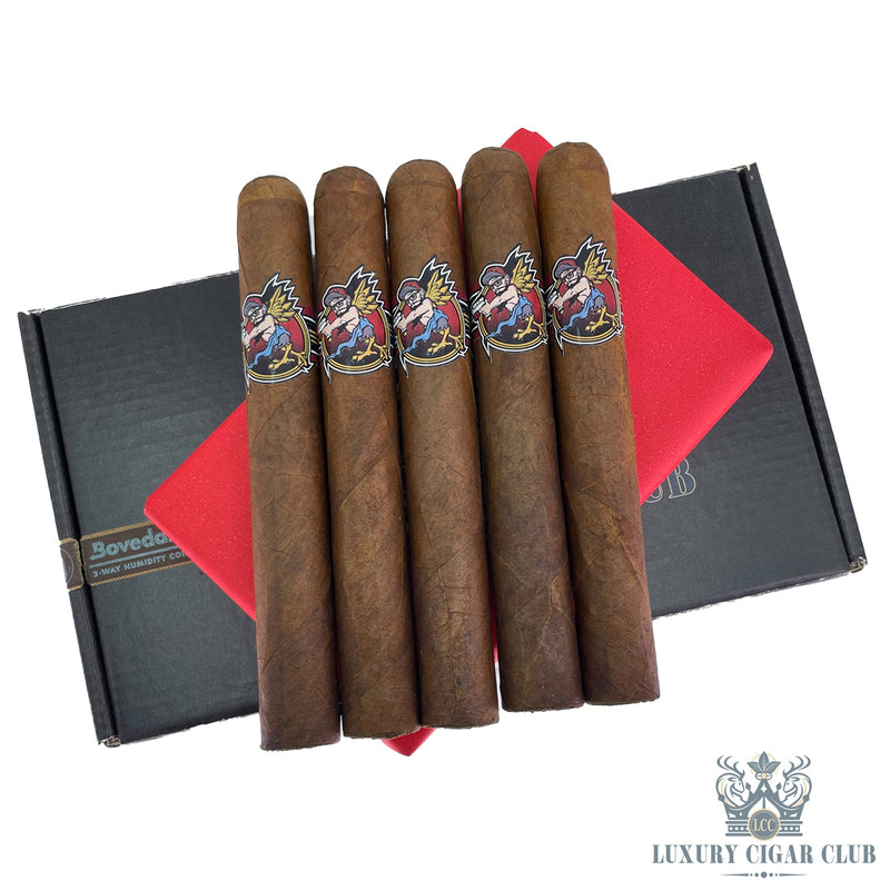 Room 101 Cherubs Luxury Cigar Club Exclusive - Luxury Cigar Club