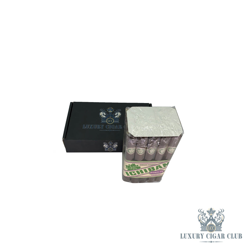 Room 101 Ichiban Habano - Luxury Cigar Club