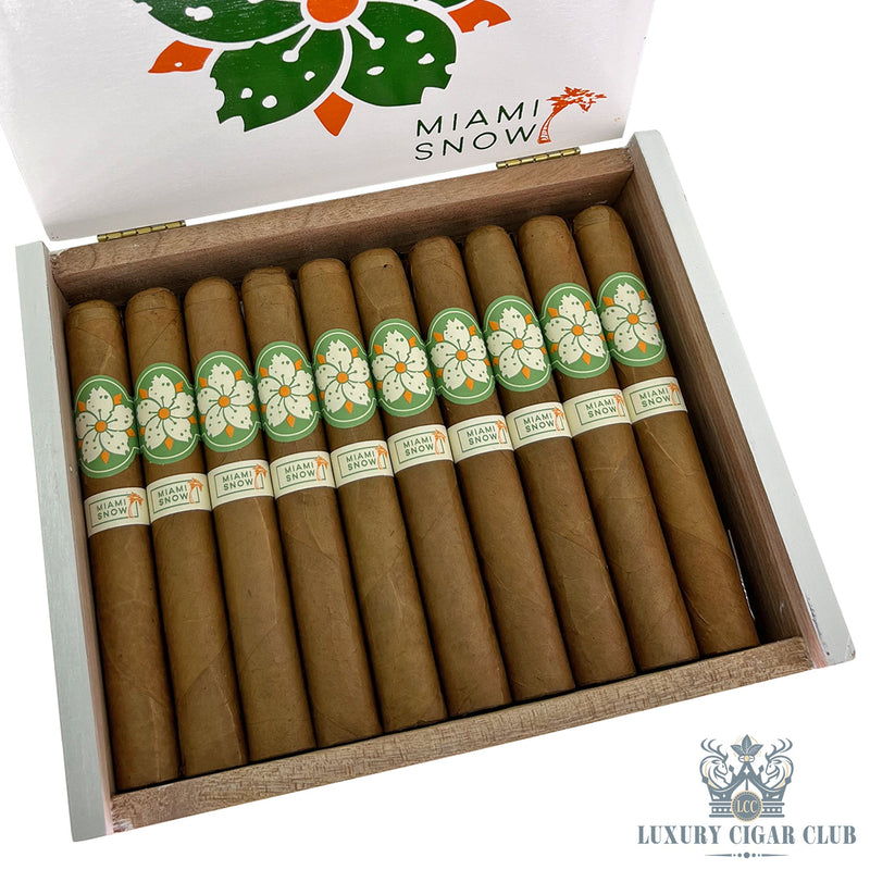 Room 101 Miami Snow - Luxury Cigar Club