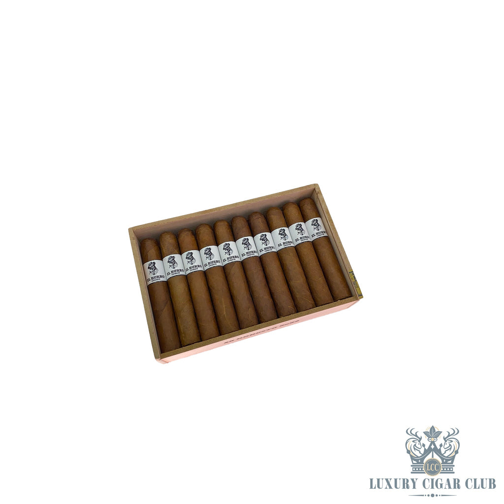Sinistro El Burro Corojo - Luxury Cigar Club