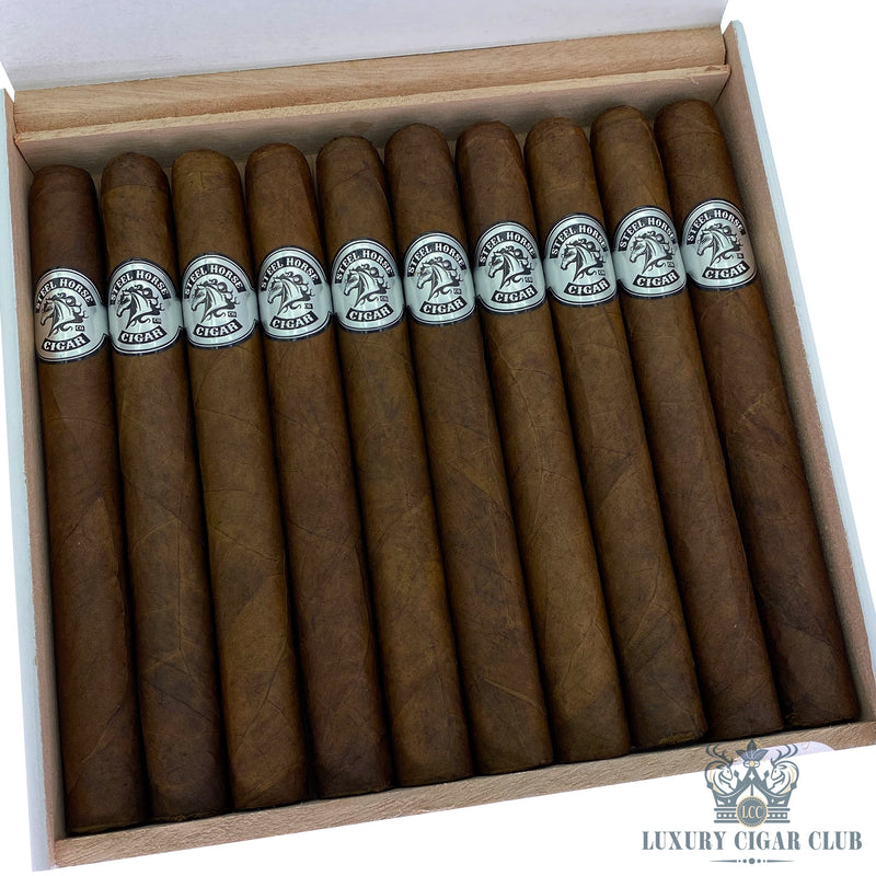 Steel Horse Maduro - Luxury Cigar Club