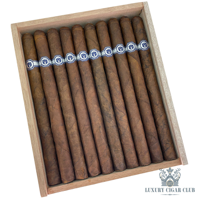 Warped El Oso Limited Edition - Luxury Cigar Club