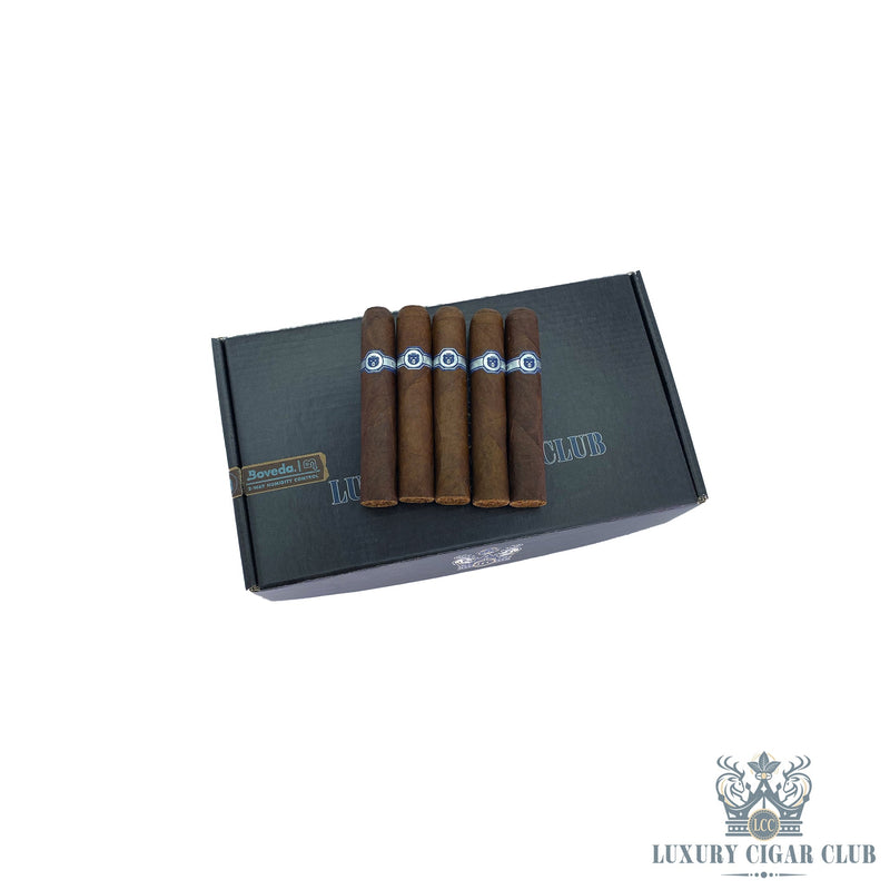 Warped El Oso Limited Edition - Luxury Cigar Club