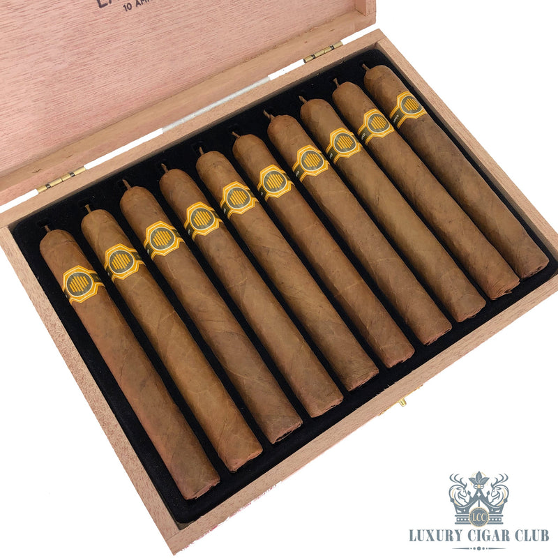 Warped La Colmena - Luxury Cigar Club